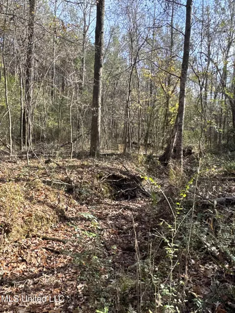 lot2 Whiddon Rd, Canton, MS 39046 photo 12