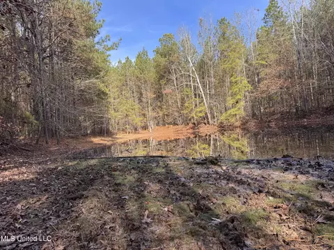 lot2 Whiddon Rd, Canton, MS 39046 photo 27