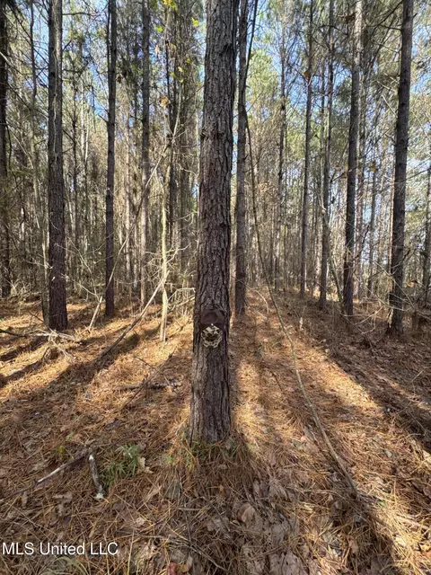 lot2 Whiddon Rd, Canton, MS 39046 photo 19