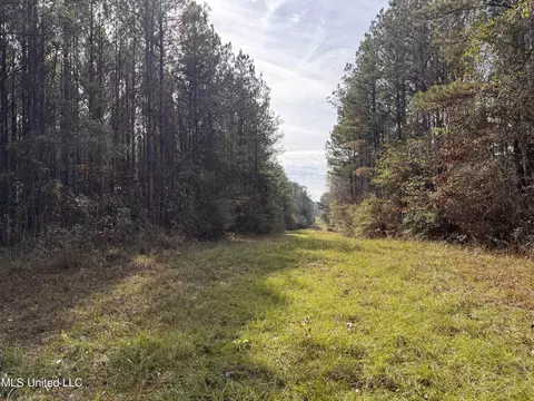 lot2 Whiddon Rd, Canton, MS 39046 photo 33