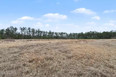 20 5 Acres Highway 98, Lucedale, MS 39452 photo 16