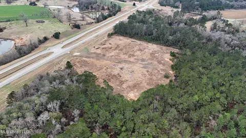 20 5 Acres Highway 98, Lucedale, MS 39452 photo 5