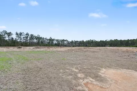 20 5 Acres Highway 98, Lucedale, MS 39452 photo 12