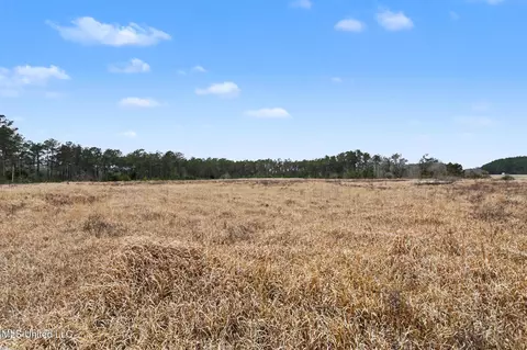 20 5 Acres Highway 98, Lucedale, MS 39452 photo 15
