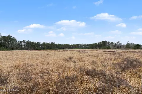 20 5 Acres Highway 98, Lucedale, MS 39452 photo 14