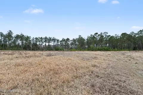 20 5 Acres Highway 98, Lucedale, MS 39452