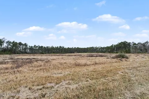 20 5 Acres Highway 98, Lucedale, MS 39452 photo 13