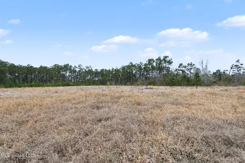 20 5 Acres Highway 98, Lucedale, MS 39452 photo 18