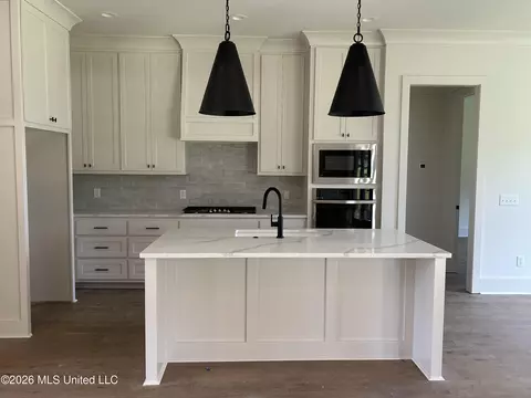 Kitchen - 369 Wellstone Pl, Madison, MS 39110 photo 1 of 1