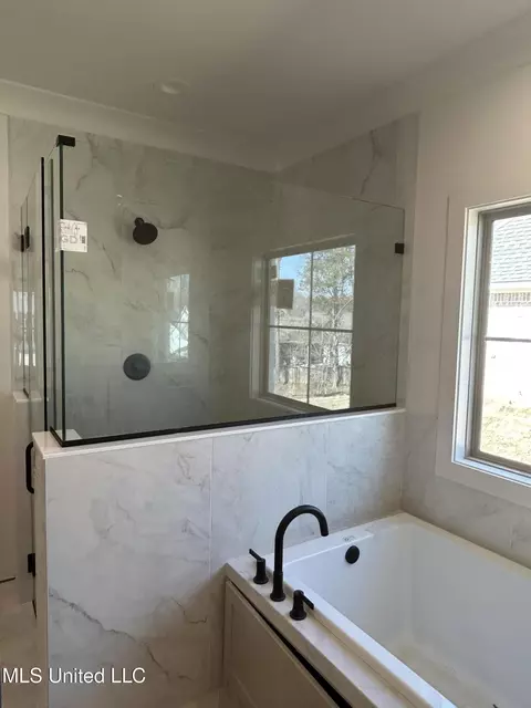 369 Wellstone Pl, Madison, MS 39110 photo 7