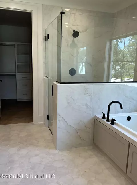 Bath - 369 Wellstone Pl, Madison, MS 39110 photo 4 of 5