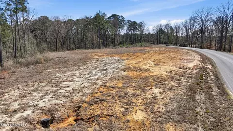 398 Wire Rd, Pelahatchie, MS 39145