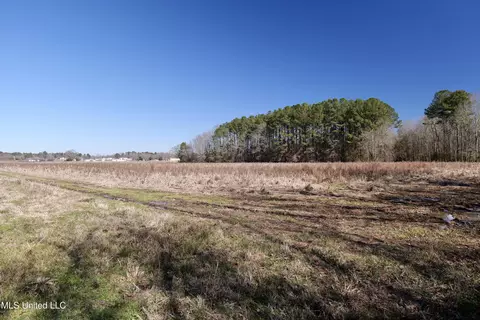 02 E Main St, Carthage, MS 39051 photo 15