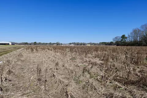 02 E Main St, Carthage, MS 39051 photo 11