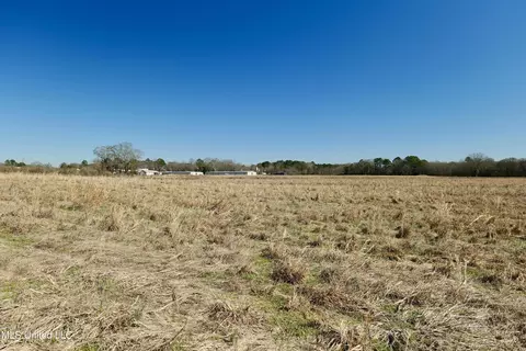 02 E Main St, Carthage, MS 39051 photo 9