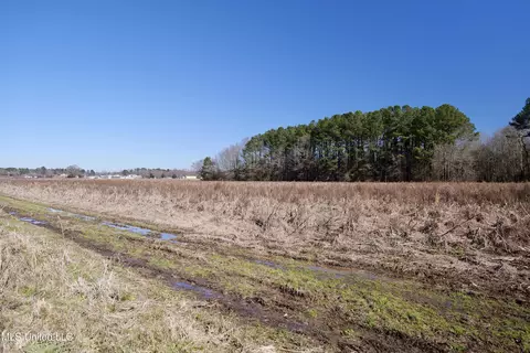 02 E Main St, Carthage, MS 39051 photo 16