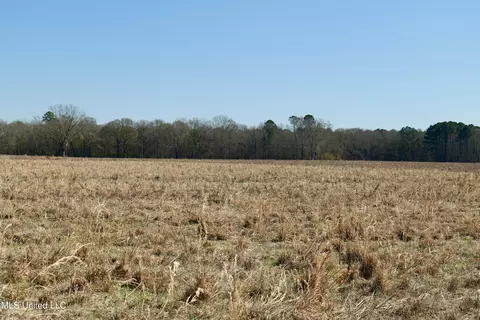 02 E Main St, Carthage, MS 39051 photo 10