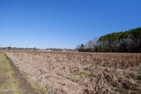 02 E Main St, Carthage, MS 39051 photo 17