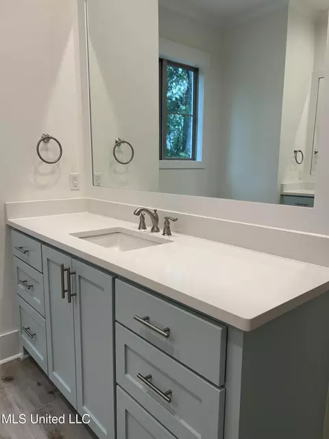Bath - 439 Crossvine Pl, Madison, MS 39110 photo 3 of 7