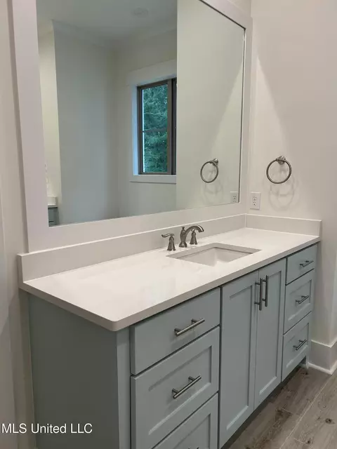 Bath - 439 Crossvine Pl, Madison, MS 39110 photo 2 of 7