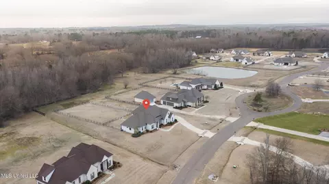 View/Area - 115 Crossview Pl, Brandon, MS 39047 photo 1 of 1