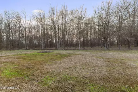 Exterior - 115 Crossview Pl, Brandon, MS 39047 photo 8 of 12