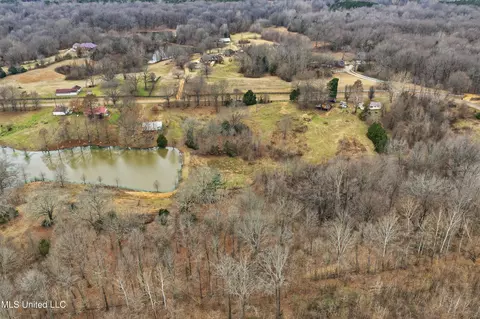 0 Brownlee Rd, Senatobia, MS 38668 photo 6