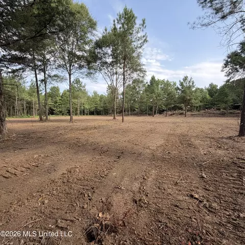 Us-80, Lawrence, MS 39336 photo 4