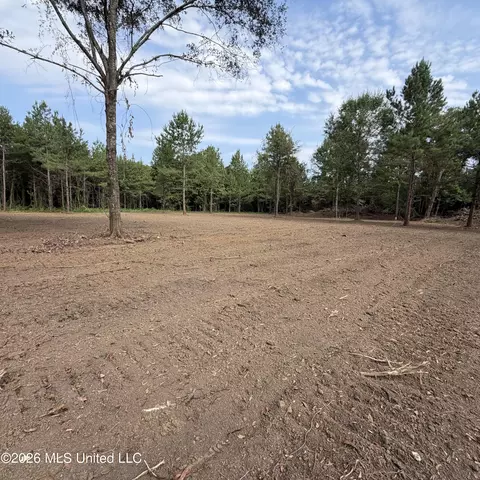 Us-80, Lawrence, MS 39336 photo 6