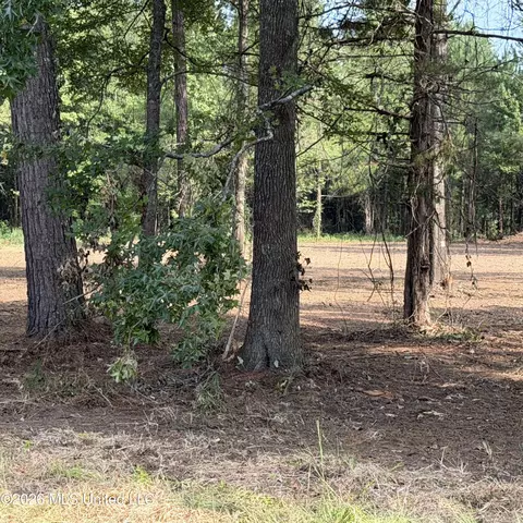 Us-80, Lawrence, MS 39336 photo 3
