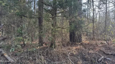 Us-80, Lawrence, MS 39336 photo 3