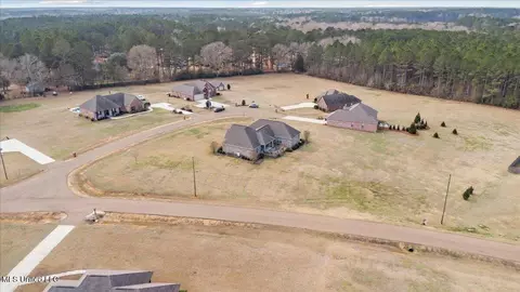 View/Area - 1010 Orleans Dr, Summit, MS 39666 photo 2 of 4