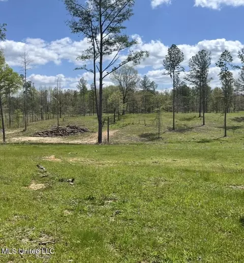 0 J D Hood Rd, Utica, MS 39175