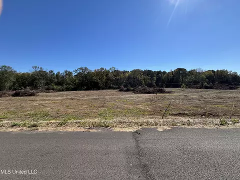 Country Lane, Philadelphia, MS 39350