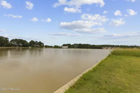 View/Area - 103 Charleston Cv, Madison, MS 39110 photo 2 of 8