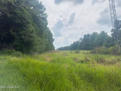 Silver Run-progress Road, Perkinston, MS 39573 photo 3