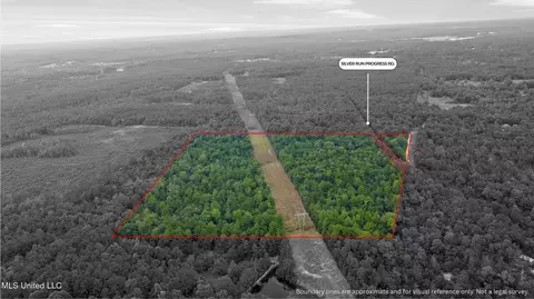 Silver Run-progress Road, Perkinston, MS 39573