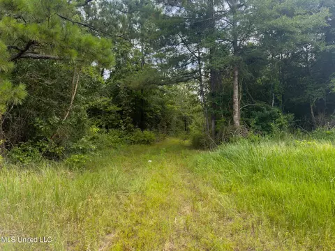 Silver Run-progress Road, Perkinston, MS 39573 photo 4