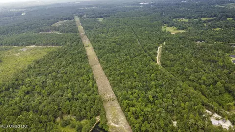 Silver Run-progress Road, Perkinston, MS 39573 photo 2