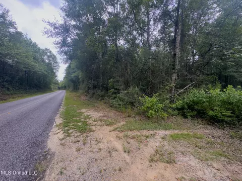 Silver Run-progress Road, Perkinston, MS 39573 photo 5