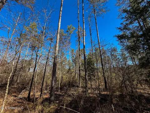 Dr Sears Road, West Point, MS 39773 photo 22