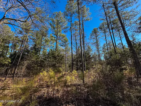 Dr Sears Road, West Point, MS 39773 photo 14