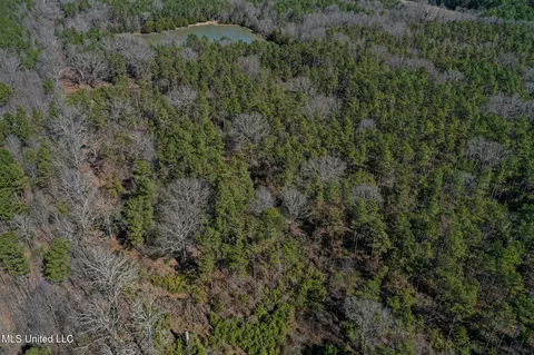 Dr Sears Road, West Point, MS 39773 photo 23