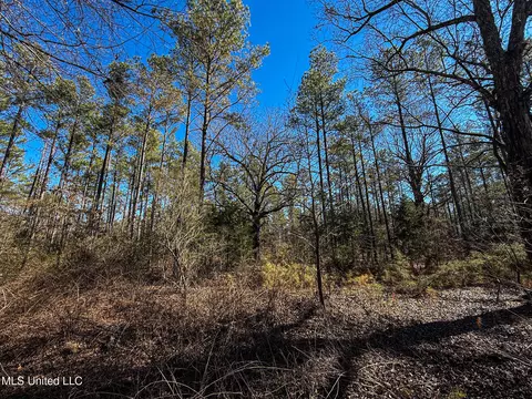 Dr Sears Road, West Point, MS 39773 photo 16