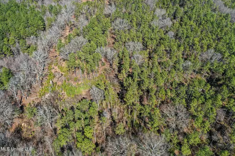 Dr Sears Road, West Point, MS 39773 photo 29