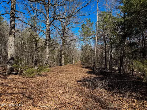 Dr Sears Road, West Point, MS 39773 photo 30