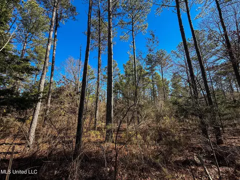 Dr Sears Road, West Point, MS 39773 photo 8