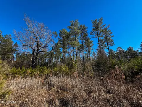 Dr Sears Road, West Point, MS 39773 photo 12