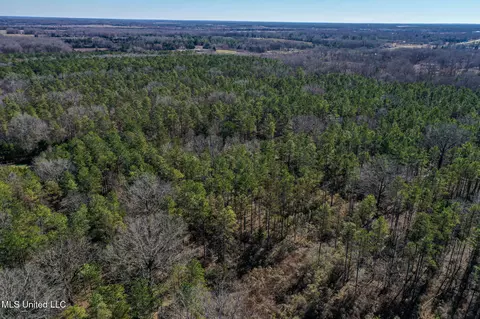 Dr Sears Road, West Point, MS 39773 photo 9
