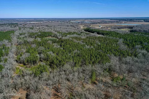 Dr Sears Road, West Point, MS 39773